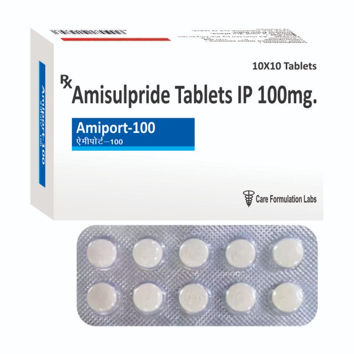 AMIPORT-100