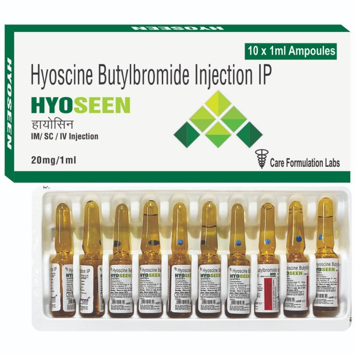 HYOSEEN INJ.
