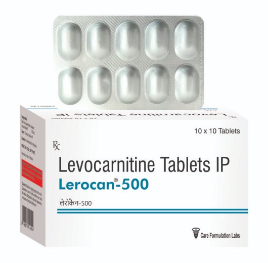 LEROCAN -500