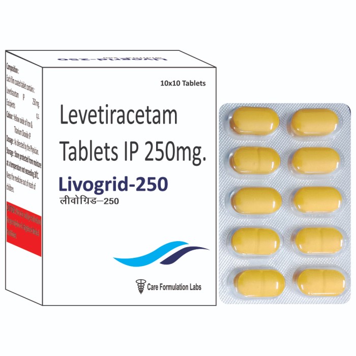 LIVOGRID-250