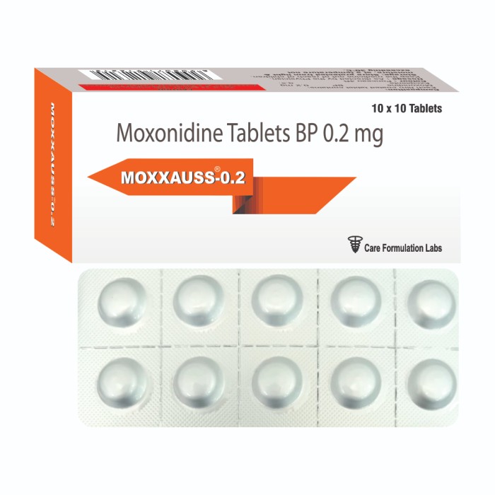 MOXXAUSS – 0.2