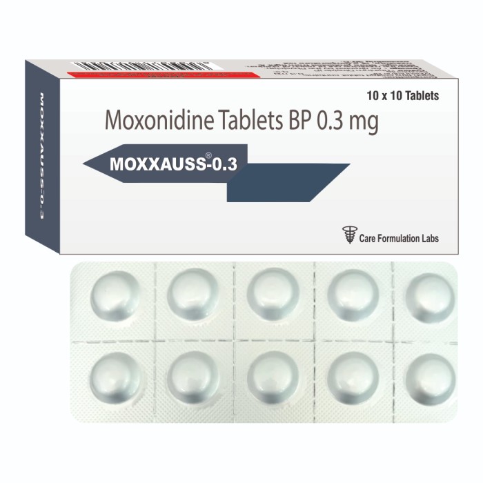 MOXXAUSS – 0.3