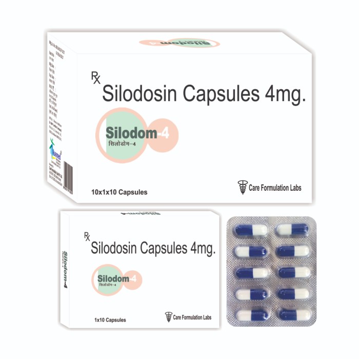 SILODOM-4